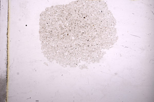 Plane Polarized, E11555