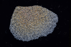 Cross Polarized, E11565