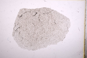 Plane Polarized, E11565