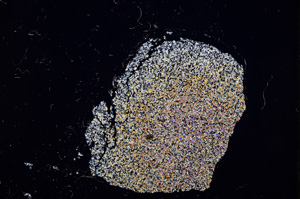 Cross Polarized, E11566