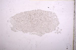 Plane Polarized, E11567