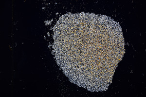 Cross Polarized, E11568