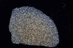 Cross Polarized, E11569