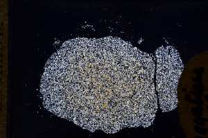 Cross Polarized, E11580