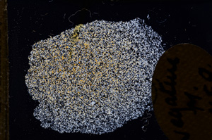 Cross Polarized, E11594