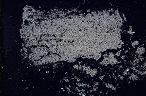 Cross Polarized, E11597