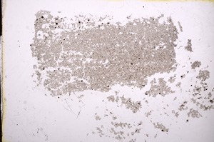 Plane Polarized, E11597