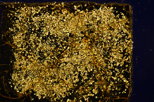 Cross Polarized, E11602