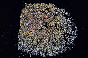 Cross Polarized, E11604