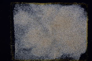 Cross Polarized, E11616