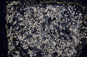 Cross Polarized, E11624