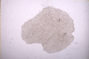Plane Polarized, E11632