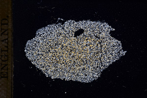 Cross Polarized, E11642