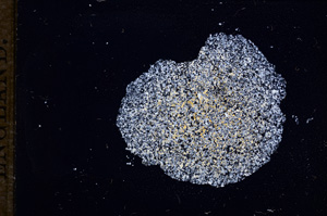 Cross Polarized, E11643