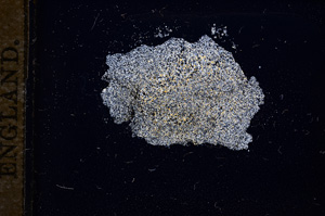 Cross Polarized, E11645