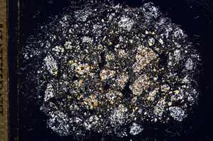 Cross Polarized, E11650
