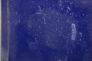 Cross Polarized, E11676