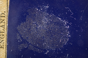 Cross Polarized, E11677