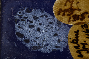 Cross Polarized, E11702