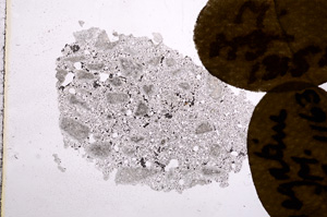 Plane Polarized, E11702