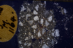 Cross Polarized, E11703