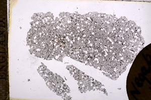 Plane Polarized, E11703/A