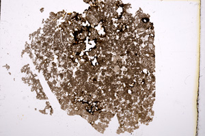Plane Polarized, E11715