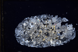 Cross Polarized, E11729