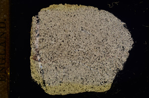 Cross Polarized, E11742