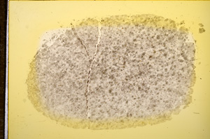 Plane Polarized, E11743