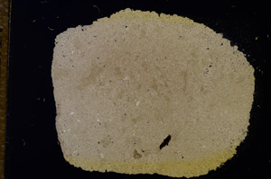 Cross Polarized, E11746