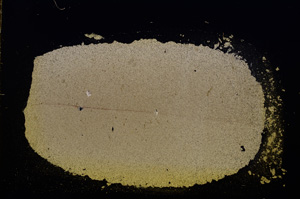 Cross Polarized, E11747