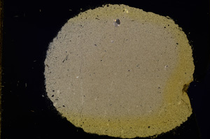 Cross Polarized, E11748