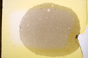 Plane Polarized, E11748