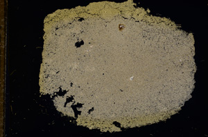 Cross Polarized, E11749