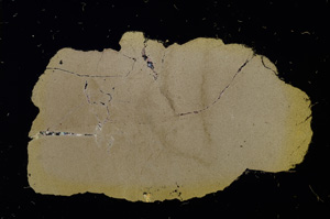 Cross Polarized, E11751