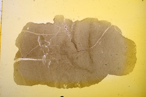 Plane Polarized, E11751