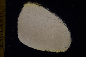 Cross Polarized, E11752