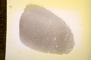 Plane Polarized, E11752