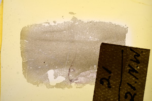 Plane Polarized, E11753