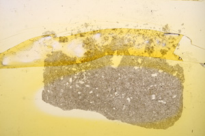 Plane Polarized, E11756