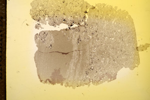 Plane Polarized, E11759