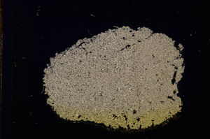 Cross Polarized, E11761