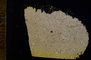 Cross Polarized, E11768