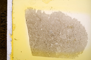 Plane Polarized, E11768