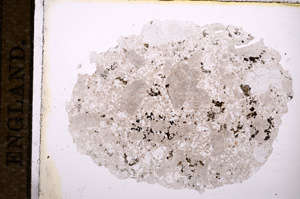 Plane Polarized, E11771