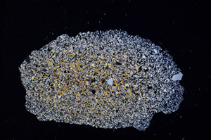 Cross Polarized, E11793