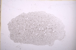 Plane Polarized, E11793