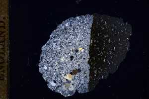 Cross Polarized, E11805