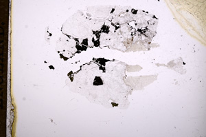 Plane Polarized, E11811
